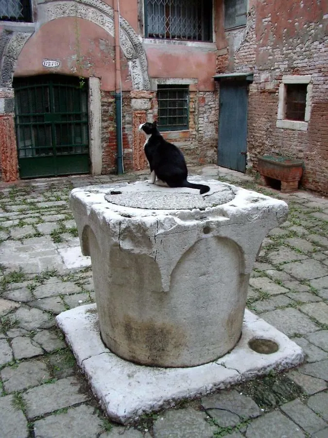 Rudy House Venice Italy